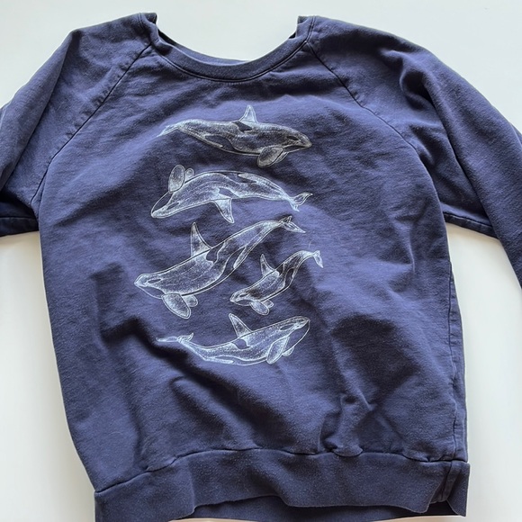 American apparel crew neck - Picture 2 of 4